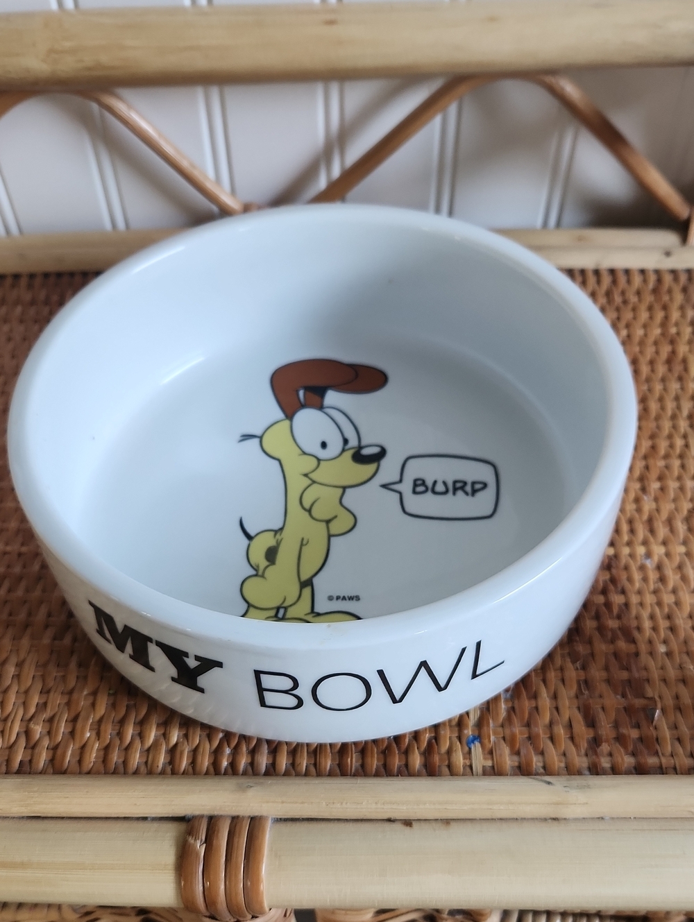 Vintage Odie Dog Bowl